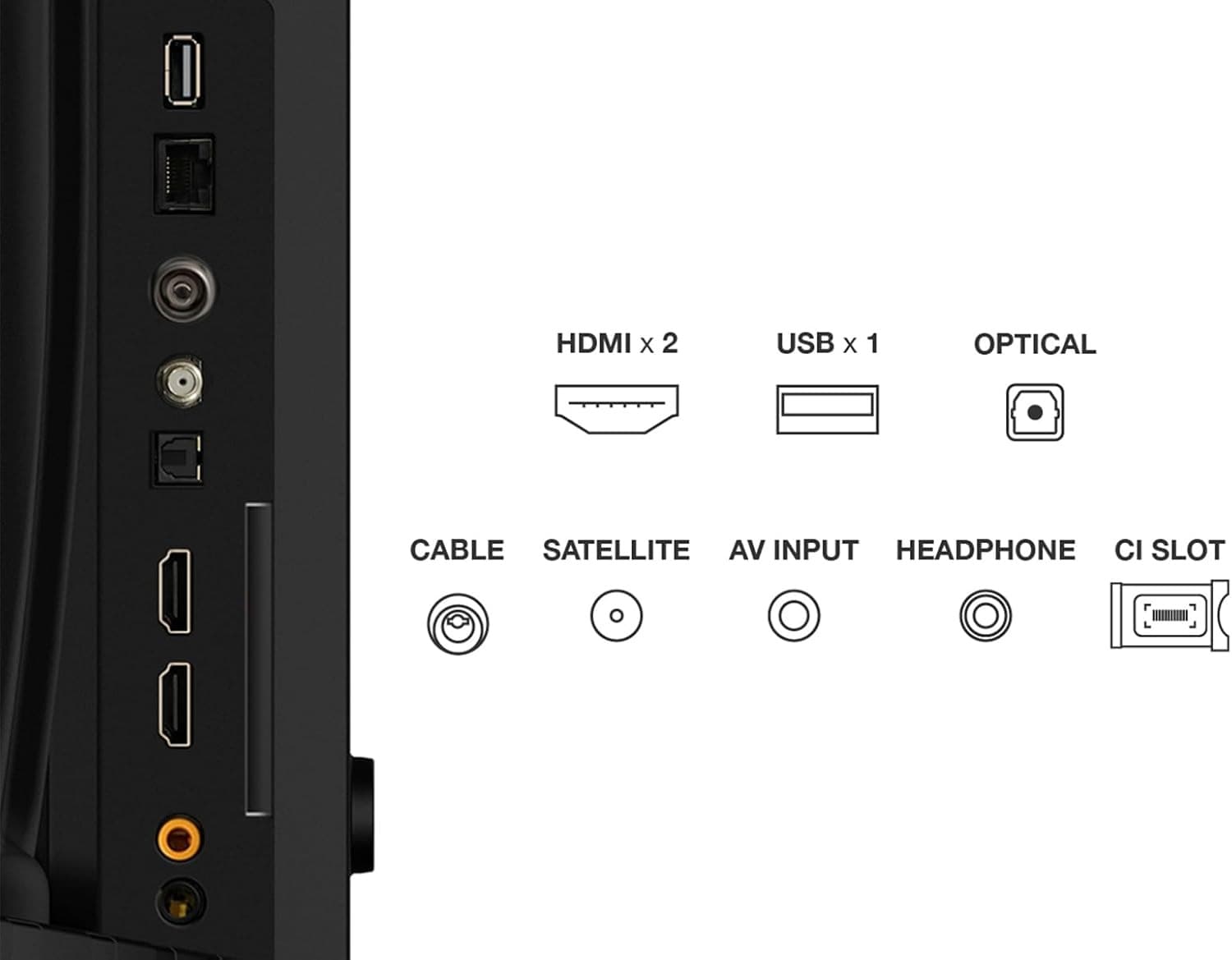 Panel de conexiones de la TV TCL 32 pulgadas